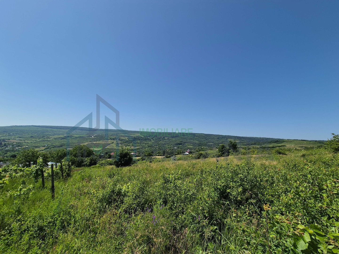 Teren intravilan de vânzare în comuna Tomesti - Poză 2