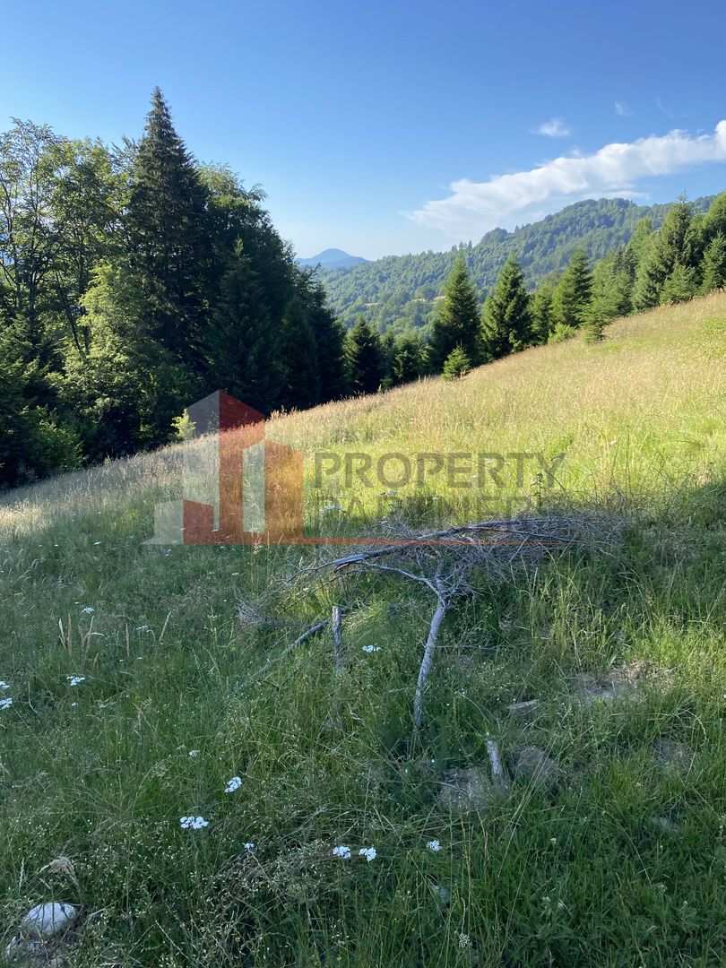 Teren 14400 mp la iesire din Rasnov inspre Pârâul Rece-Trei Brazi - Poză 9