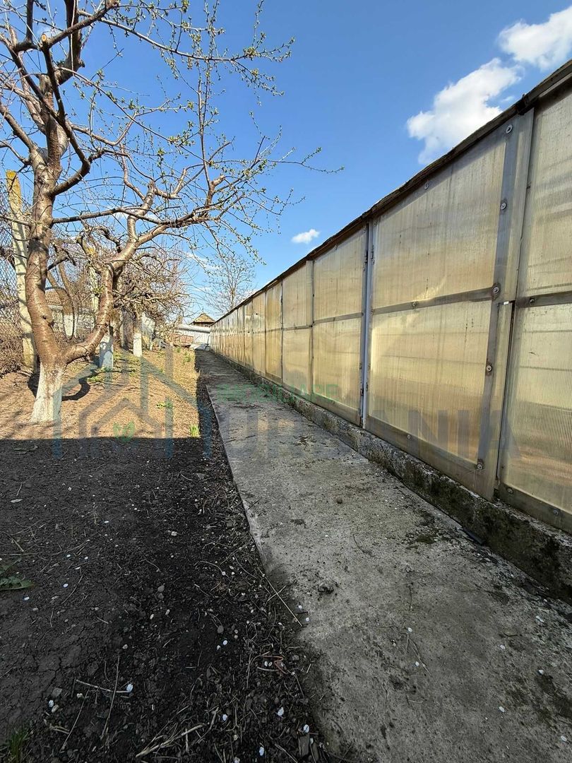 Teren cu seră și vie, Belcești, Iași - Poză 4