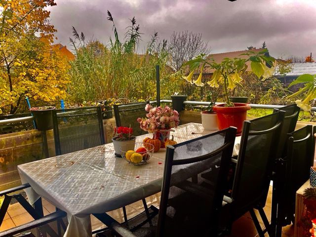 Apartament 3 camere, zona Mehala - Poză 1