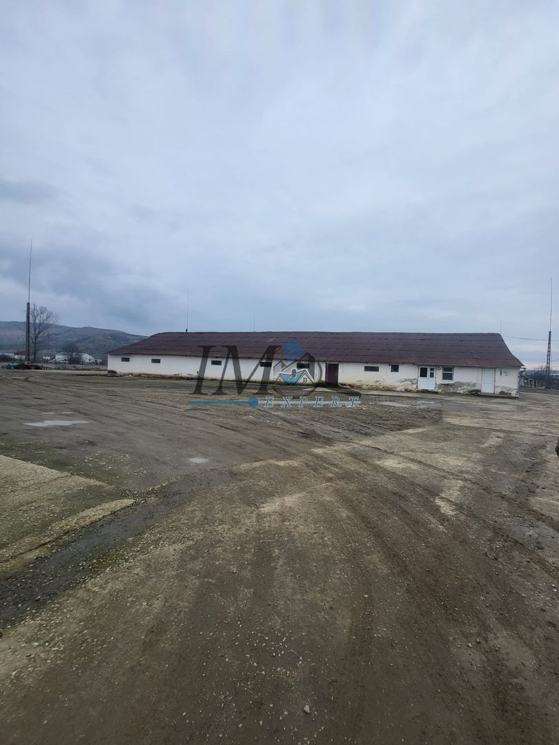 Grajd de inchiriat - Poză 2