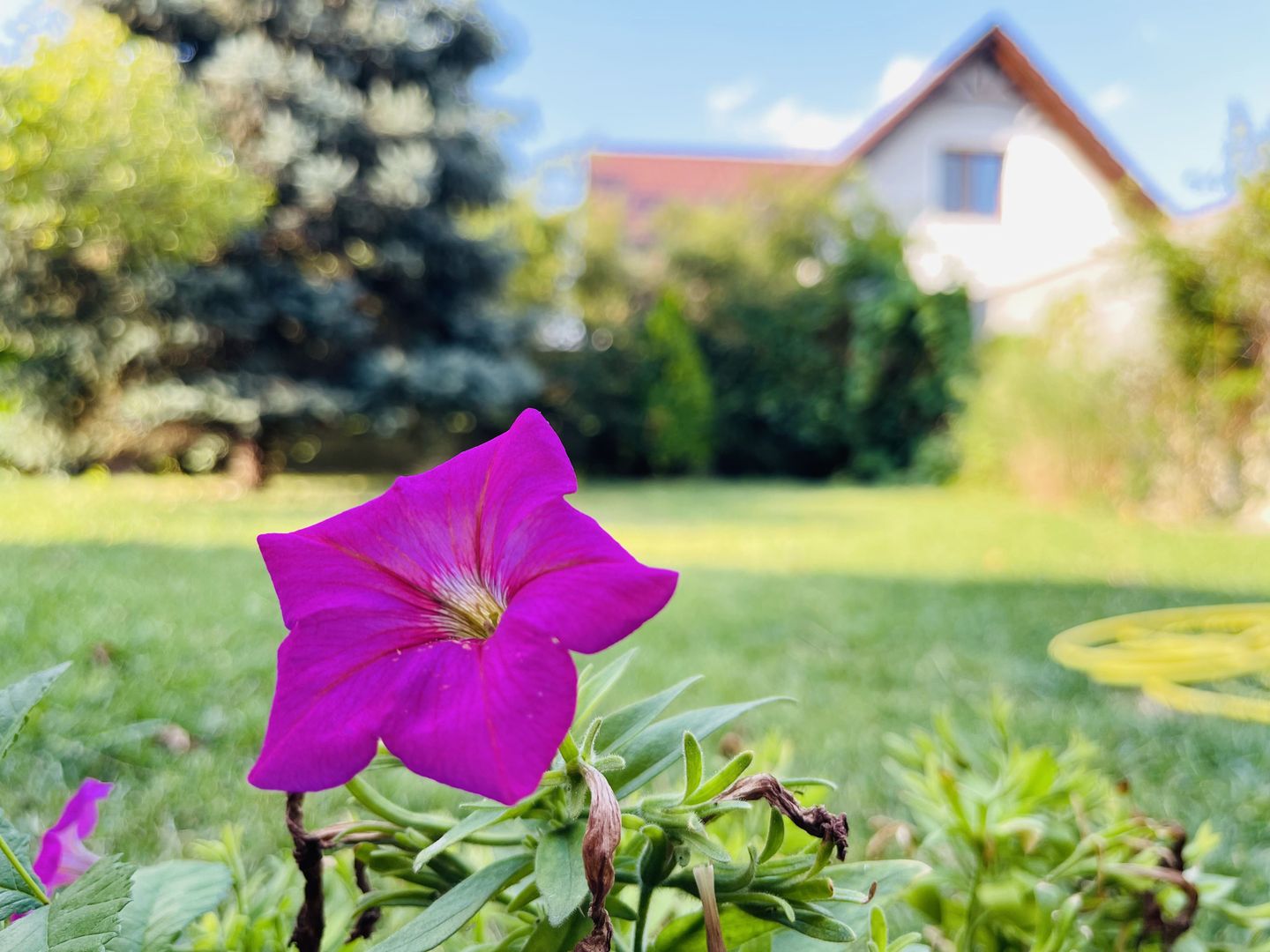 INCHIRIATA - Casa individuala cu 4 dormitoare, 184 mp | Garaj & Gradina | Fropin - Poză 42