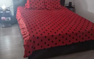 Apartament cu 3 camere  Giroc etaj 2 cu pod - Poză 3