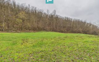 Casă cu teren de 24.679,73 mp, în Hălmagiu, Arad - Poză 22