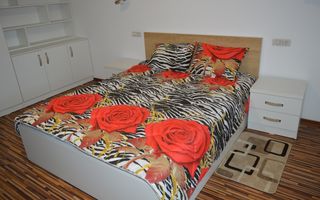 Casă/Vilă Hagigadar Suceava - Poză 35