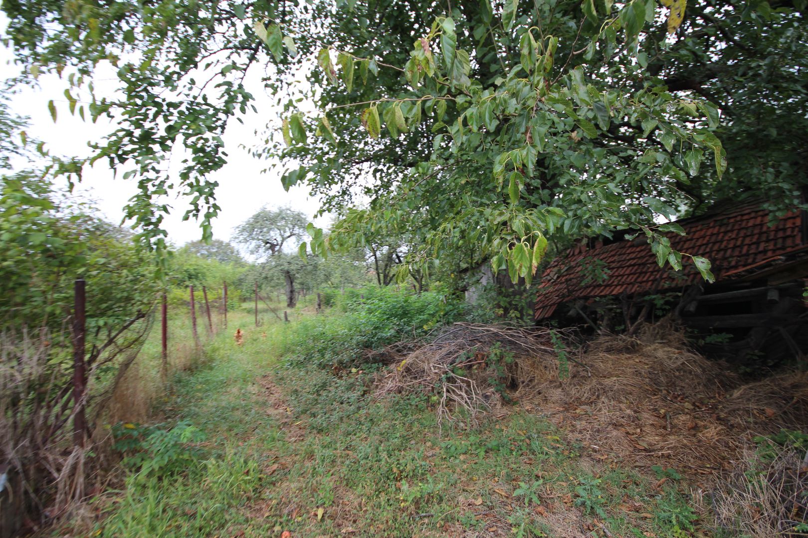 Teren de vânzare - 1900 mp Dumbravita - Poză 3