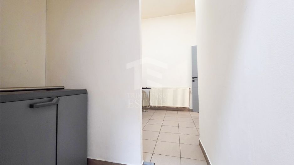 Spatiu Comercial Stradal | Calea Ferentari | Soseaua Salaj - Poză 11