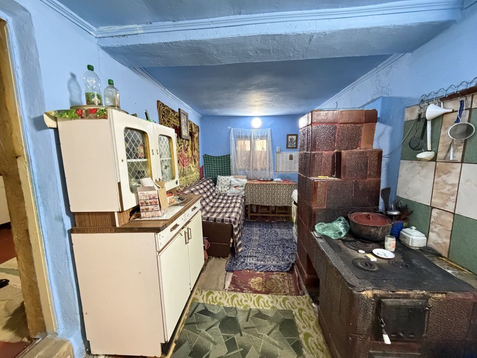 Casa Batraneasca la 8 km de Topoloveni - Poză 8
