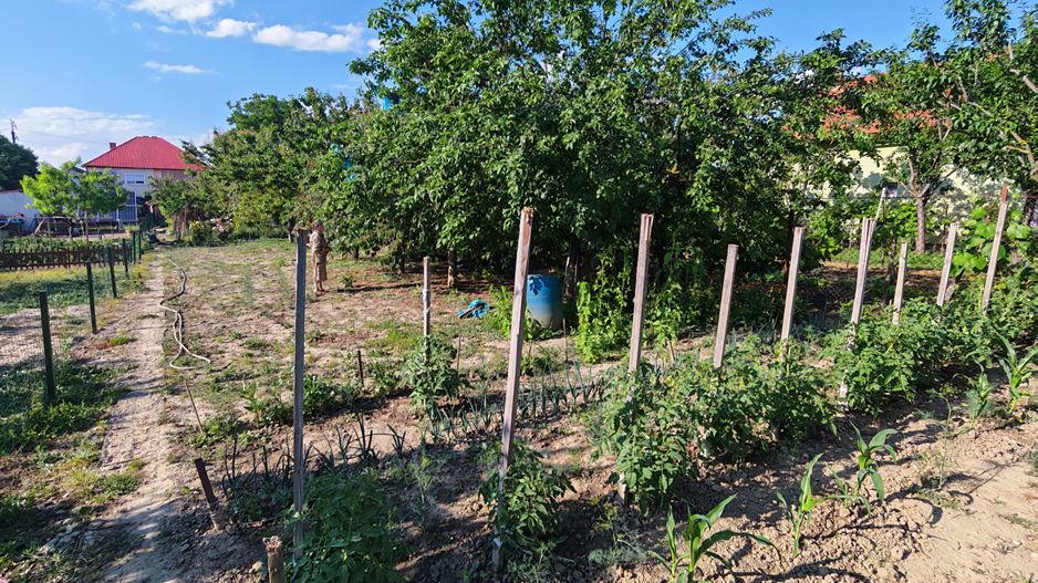 Casă cu teren generos Ghiroda vatra veche - Poză 19