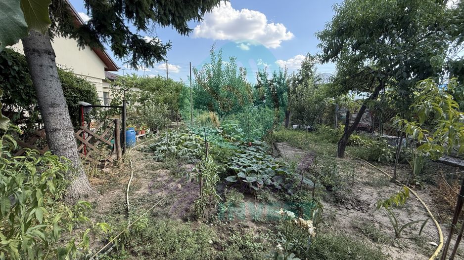 Casă parter + 1100 mp teren în Popești-Leordeni - Poză 4