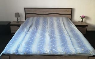 Casă cu 2 apartamente, ideală pentru familie sau investiție, în Zona Iulius Mall - Poză 6