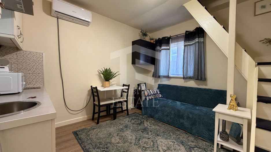 PARCUL CAROL - Viilor | Chirie Casa 2 Camere - Poză 2