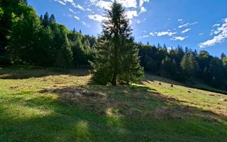Teren intravilan la munte - Poză 1