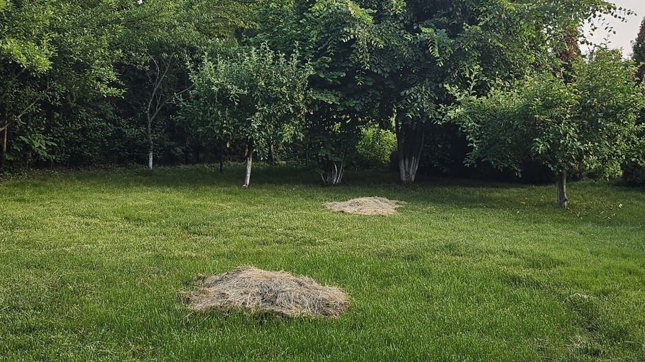 Vila 8 camere Dascalu - Poză 24