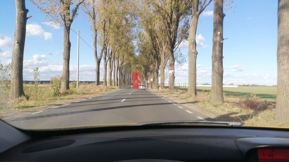 Dascalu-lfov-Vila D+P+M-5 camere-Locatie Deosebita - comision 0 - Poză 12