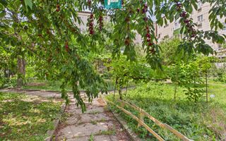 Oportunitate de investiție în Calea Lipovei - Poză 47