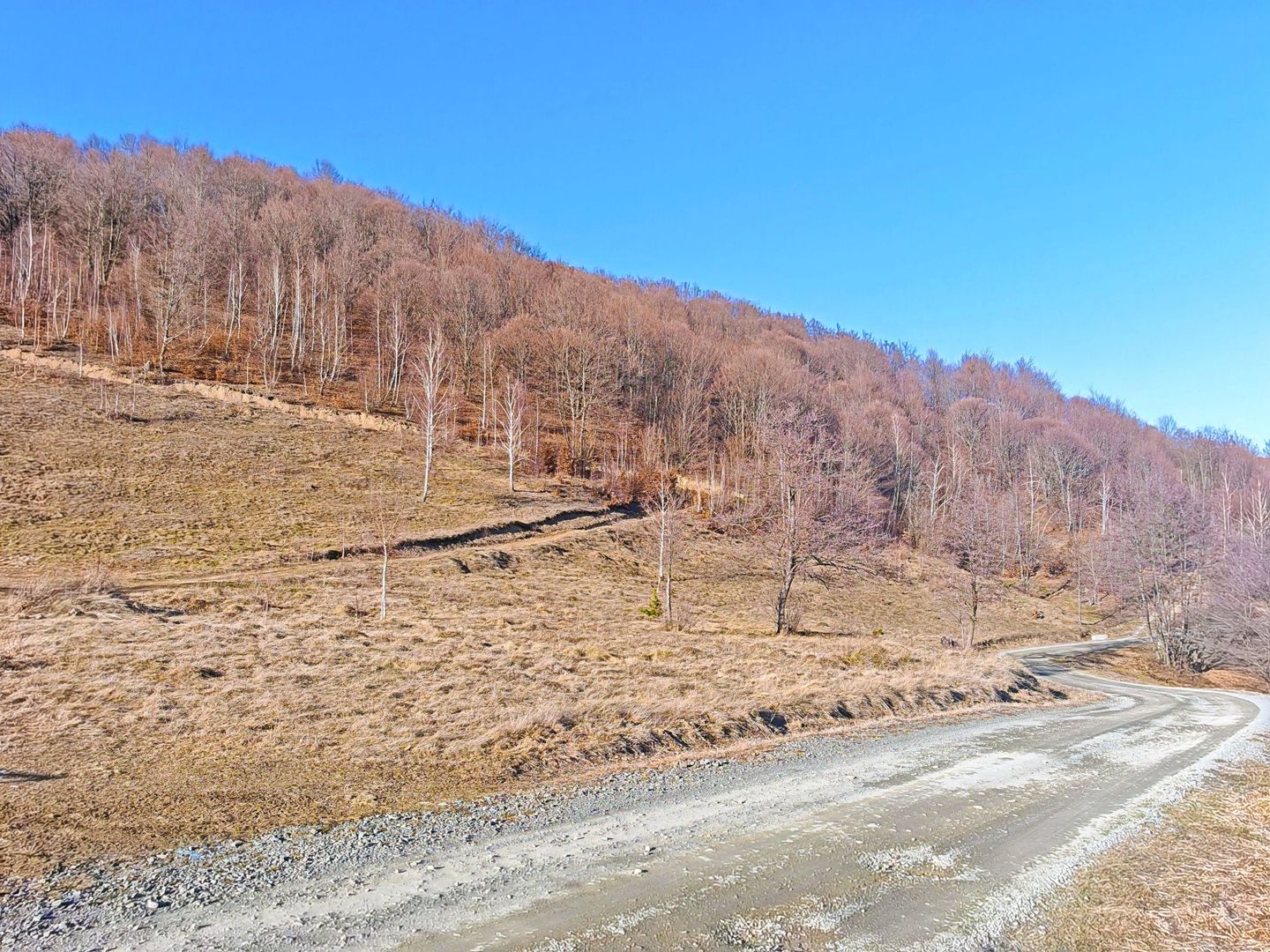 2,2 Ha TEREN INTRAVILAN PANORAMIC, in Muntii Apuseni NEGRENI – CLUJ - Poză 4