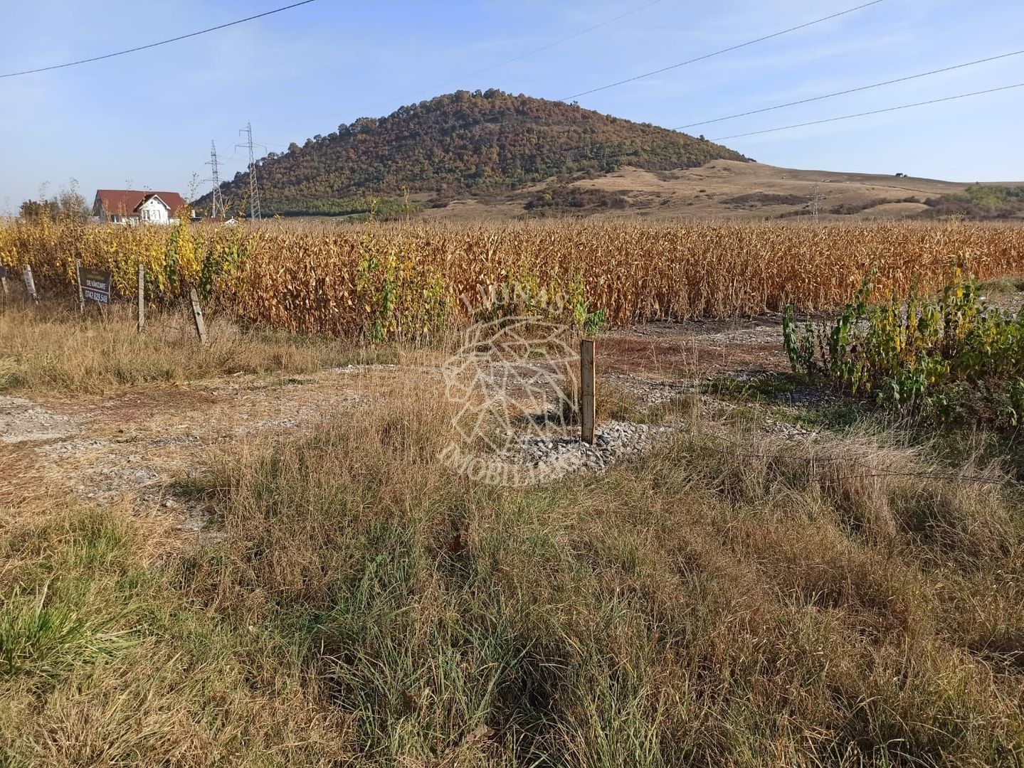 Teren 4606 mp-ideal investitie-Sarata - Poză 3