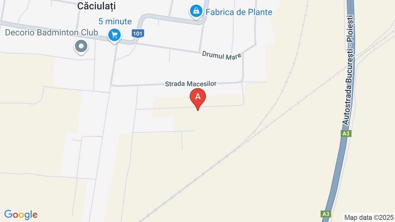 Caciulati! Teren de vanzare - 1500 mp la 15 minute de capitala - Poză 2