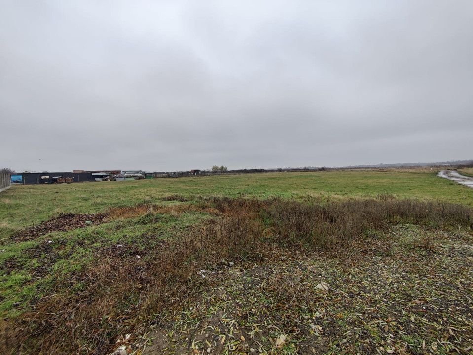 Teren 4588 mp, Remetea Mare Comision 0% - Poză 6