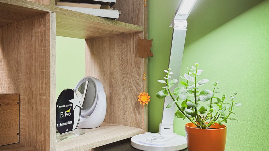 VANDUT - 2 camere - Telegrafului - Poză 29