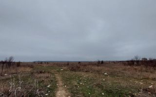 Teren Mogosoaia // deschidere la lac - Poză 2