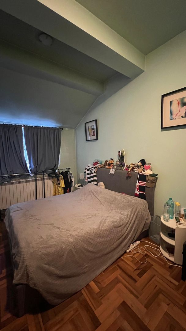 Vila Damaroaia - langa lacul Grivita - Poză 8