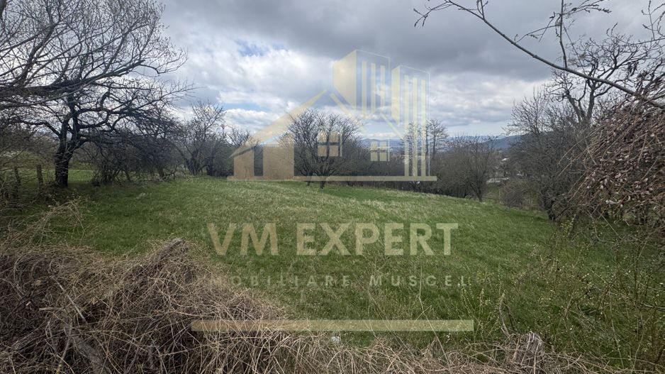TEREN INTRAVILAN 2153 MP IN VALEA MARE PRAVAT - Poză 3