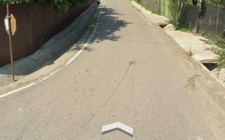 Teren de vânzare în zona Bordea, Comuna Grajduri, Iași - Poză 3