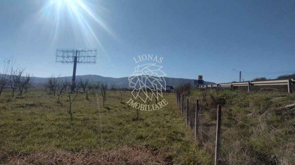 Teren intravilan 1,23 Ha la DN17 cu utilitati-livada-Crainimat - Poză 3