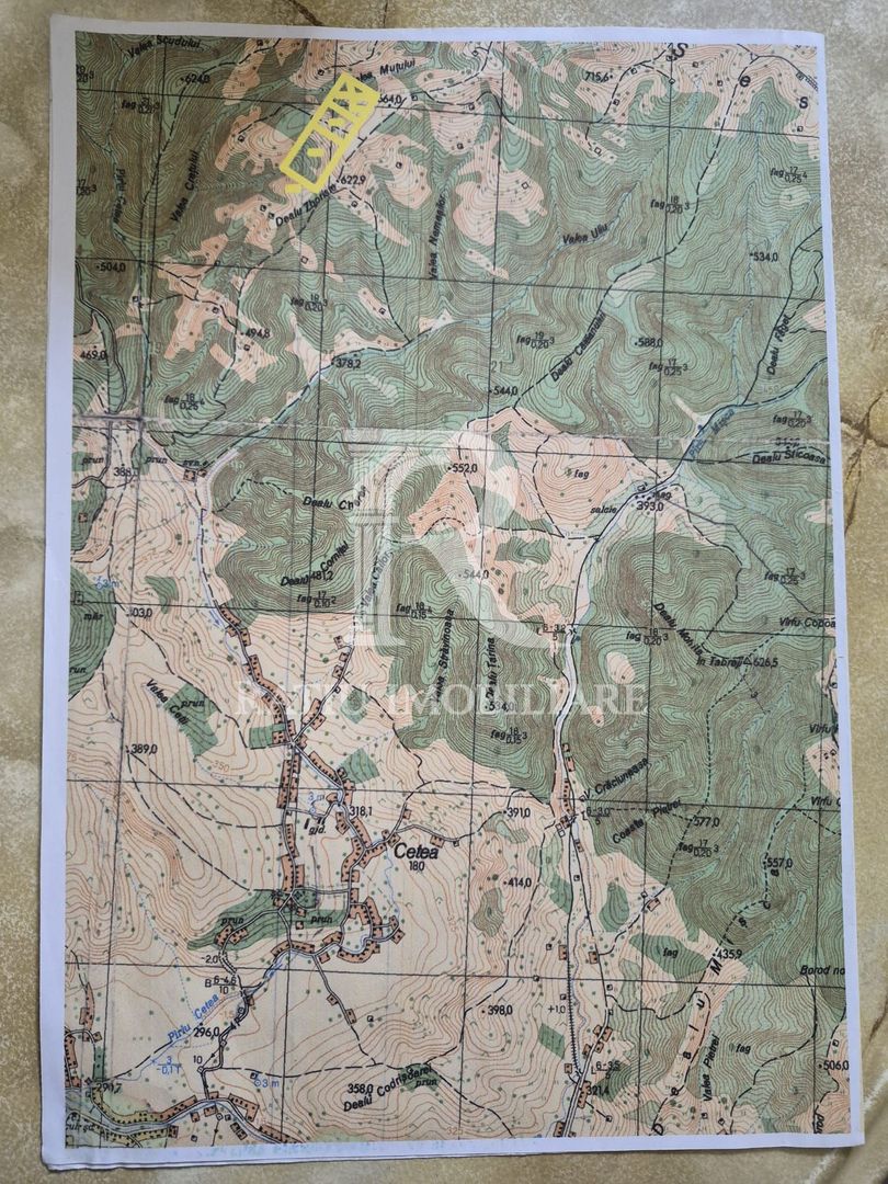 Teren Partial Intravilan | 3 ha | Serani | Bihor - Poză 3