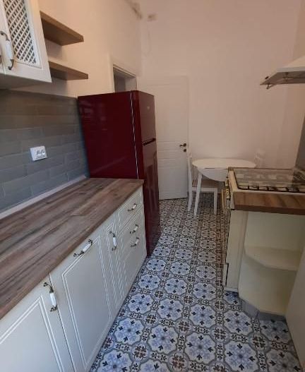Apartament parter, vila, Charles de Gaulle, 2 camere, 2 bai - Poză 3