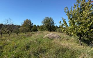 Teren intravilan 965 mp-imprejmuit-ideal casa-Livezile - Poză 4