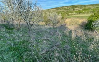 Tren Soporului Intravilan ,5500 MP Utilitati,  Oportunitate - Poză 6