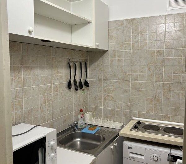 Cismigiu, Sala Palatului - Poză 5