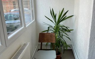 Apartament 2 camere | 42 MPU | Balcon | Doamna Stanca - Poză 4