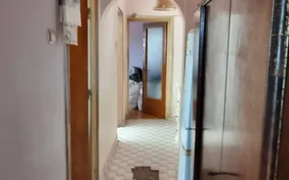 Timisoara Profii - Poză 11