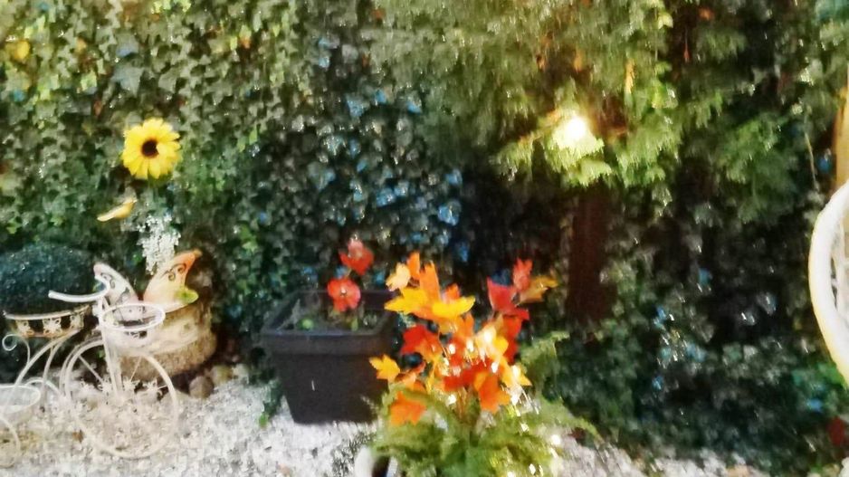 Studio renovat mobilat si utilat,Brasov,centrul istoric - Poză 13