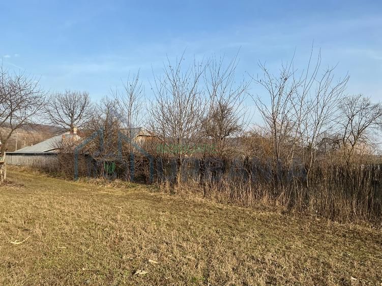 Casa Batraneasca 100 MP + teren intravilan 400 MP, 4500 MP extravilan - Poză 12