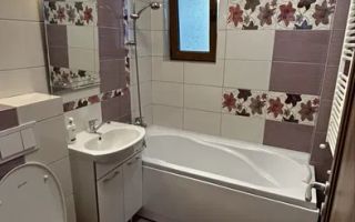 PODU ROS - 2 CAMERE - ETAJUL 1 - MOBILAT SI UTILAT COMPLET - Poză 8