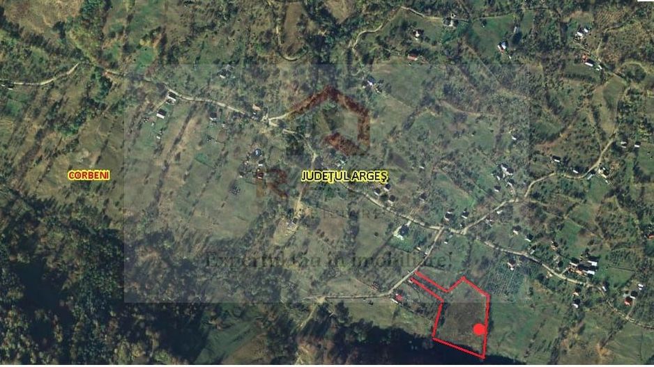 Teren de vanzare Coebeni-Turburea-Arges - Poză 1