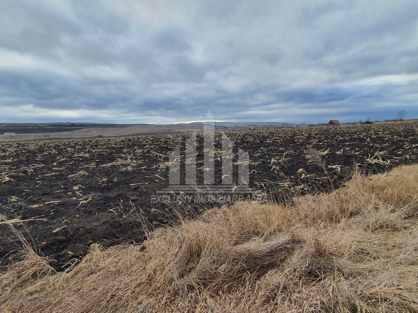 Vand teren extravilan - Poză 3