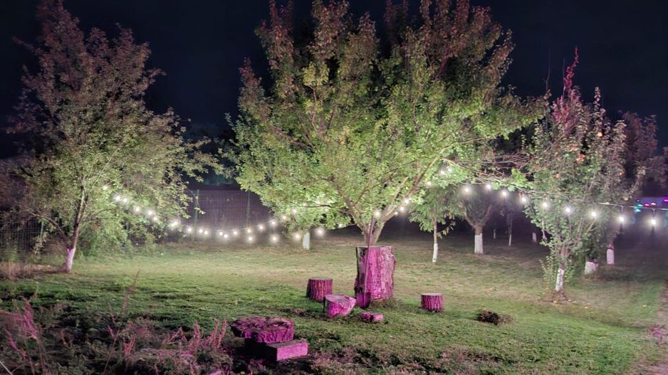 Casa de inchiriat | Snagov | acces direct la lac | ponton propriu - Poză 15