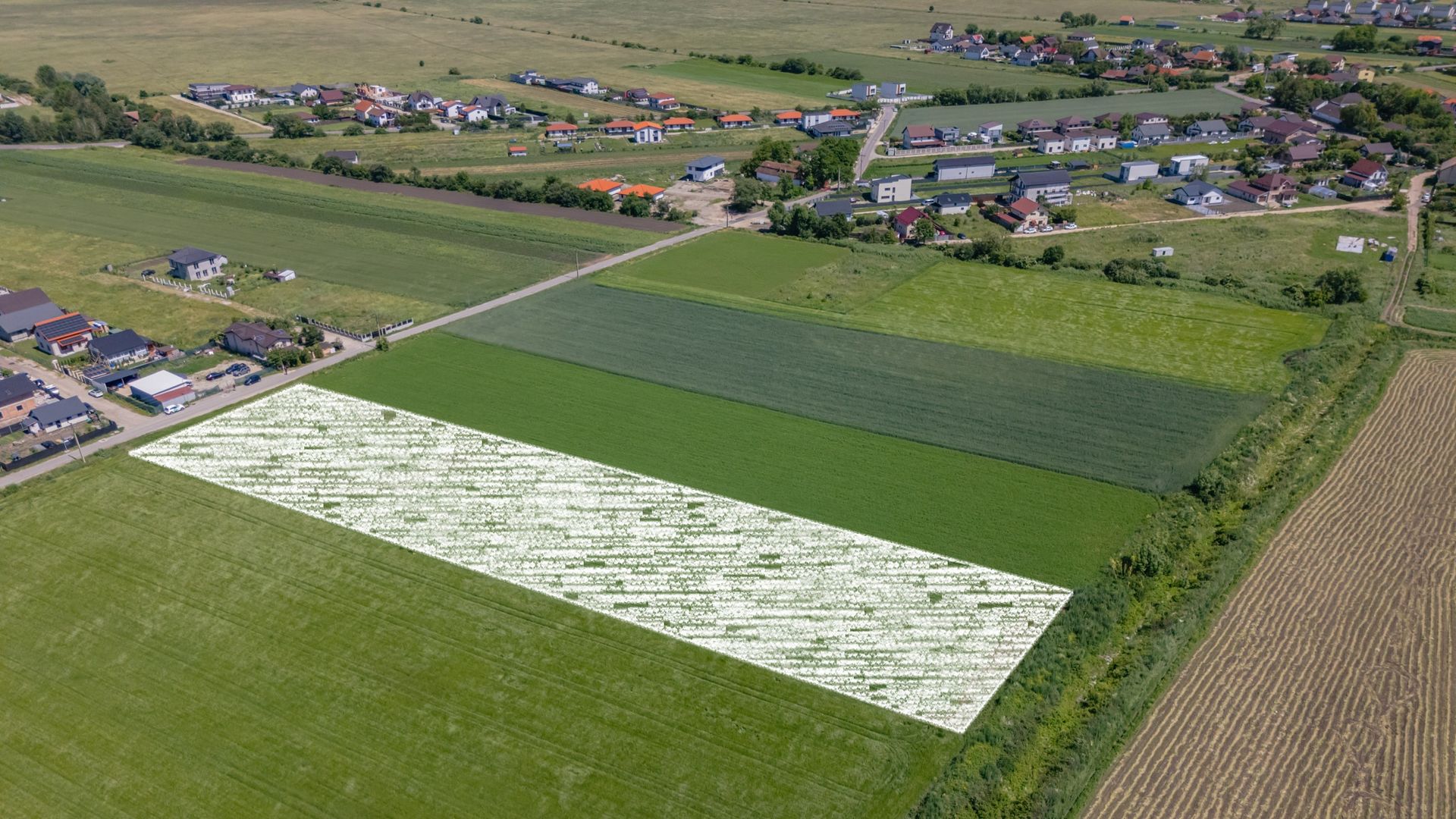 Teren 9.300 mp Stupini | Front 45.59 m la Asfalt | PUG Zonă L1c - Poză 4