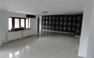 Ag BRASADAS vinde vila interbelica zona UNIRII. - Poză 29