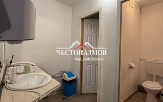 NECTORA IMOB-Spatiu comercial mare, 215 mp, cu Vitrina, Blvd. Decebal - Poză 9