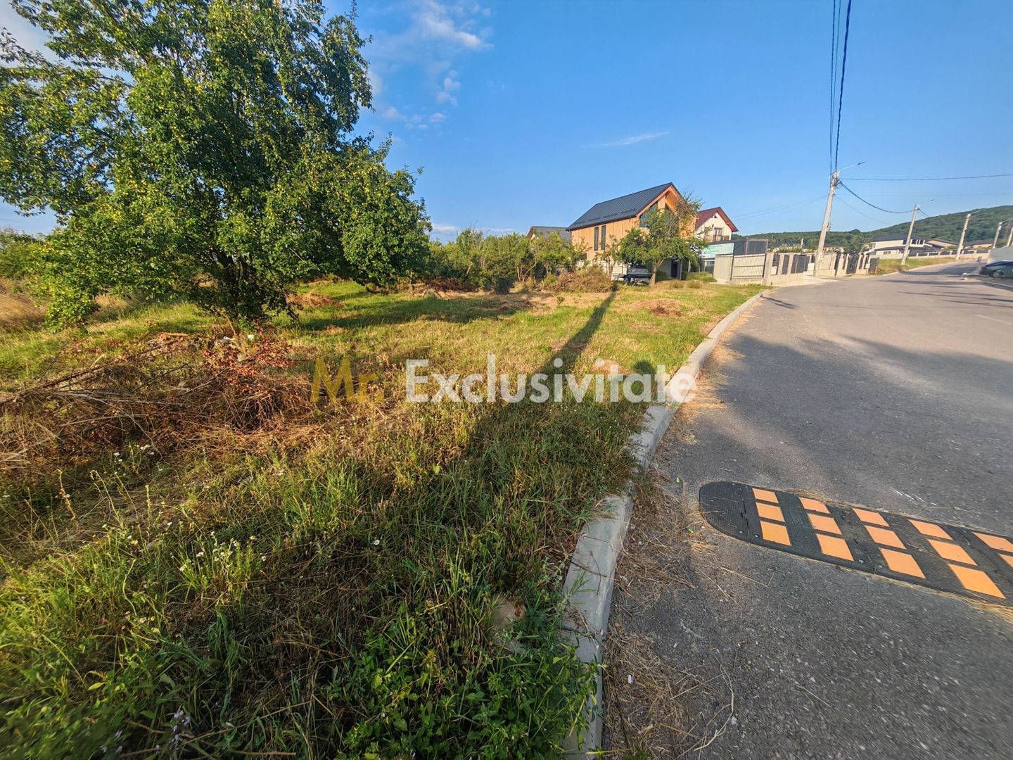 Teren intravilan 1.600 mp Mioveni – Zona Pruni - Poză 2