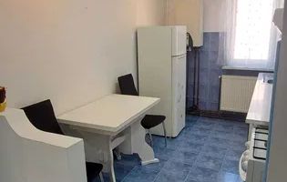 BLACK FRIDAY I Apartament 2 Camere I Pivnita I Vasile Aaron - Poză 8