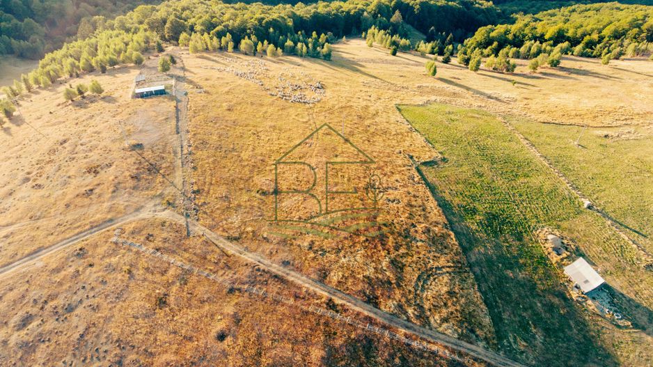 Păltiniș - Teren cu perspectivă panoramică pentru un refugiu în natură - Poză 3