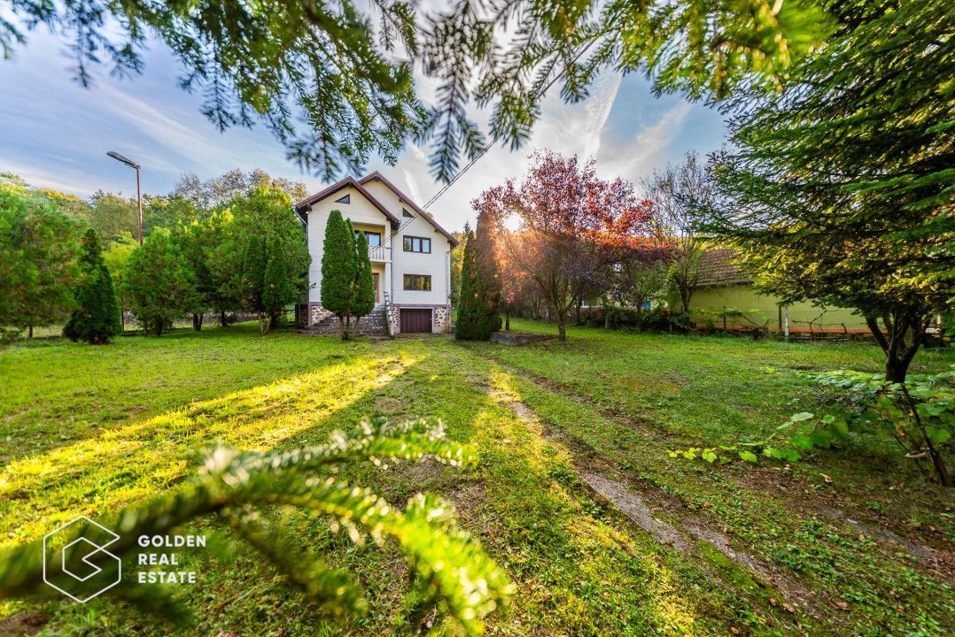 Casa de vacanta, localitatea Cladova, ideal pozitionata - Poză 4